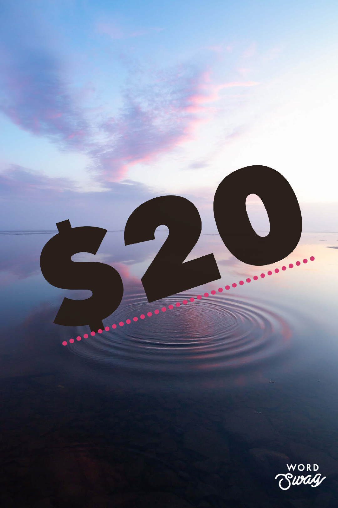 $20.00 SALE