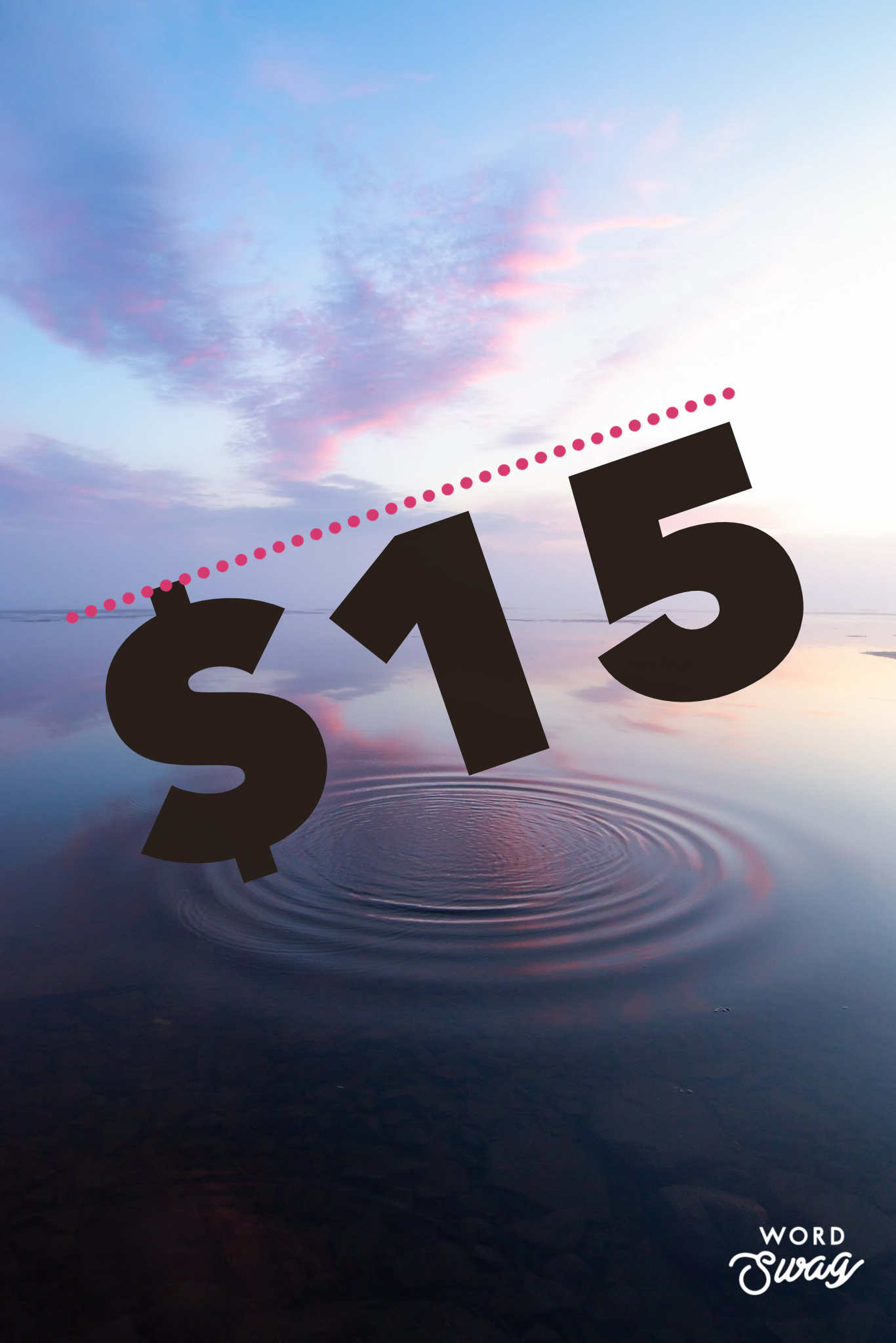 SALE - $15.00